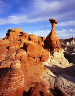 Mesa, Nature in Arizona, USA